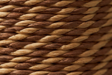 Red ripe currants with green petals