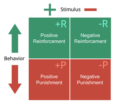 The Psychology Of Positive Reinforcement Theory