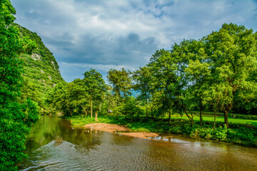 Fototapeta premium river and forest