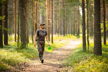 a man walks in a pine forest, selective focus 