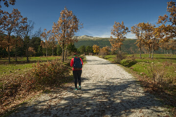 walking beetwen mountains near of madrid