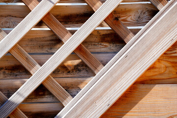 Fototapeta na wymiar Natural wood with a fine structure, photographed outdoors in daylight