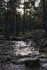 Obraz premium walking beetwen mountains near of madrid