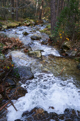 walking beetwen mountains near of madrid