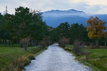 walking beetwen mountains near of madrid