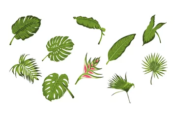 Muurstickers Tropische bladeren heliconia with foliage