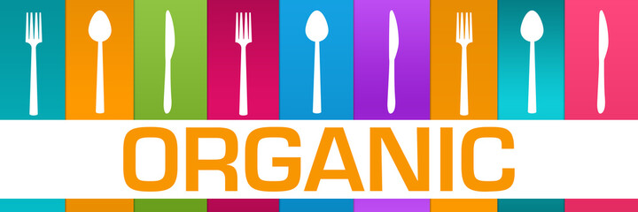 Organic Colorful Boxes Spoon Fork Knife Horizontal Text 