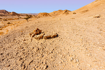 Fototapeta na wymiar Loneliness and hopelessness of the desert