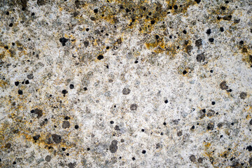 Natural wood with a fine structure, photographed outdoors in daylight