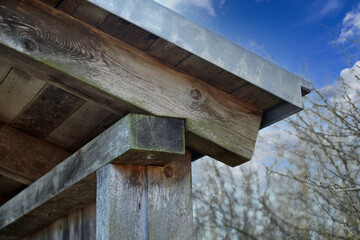 Natural wood with a fine structure, photographed outdoors in daylight