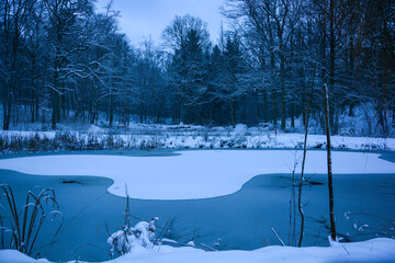 Winterlicher Teich in blauer Stunde Landschaft in Franken