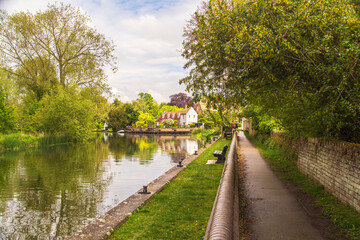 Fototapeta premium Walking along the river path at Hemingford Gray.