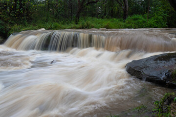 Fototapeta na wymiar Water flowing in the creek after rain.