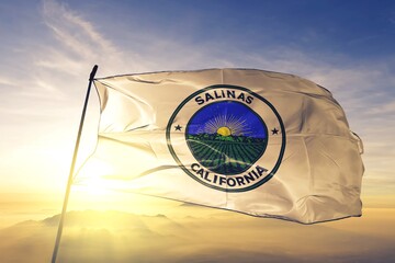 Salinas of California of United States flag waving on the top