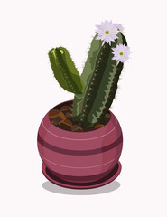 Realistic vector illustration of a houseplant. Blooming cactus, succulent in a pot