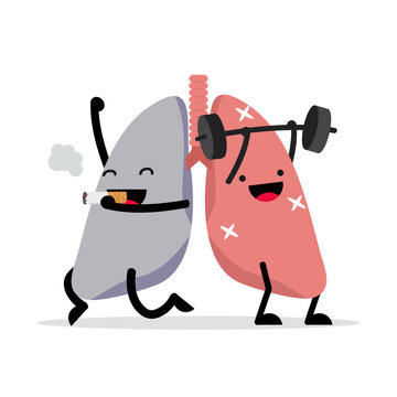 healthy  lungs cartoon character vector