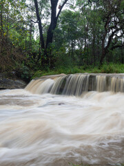 Fototapeta na wymiar Water flowing in the creek after rain.