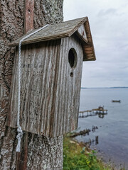 Bird house