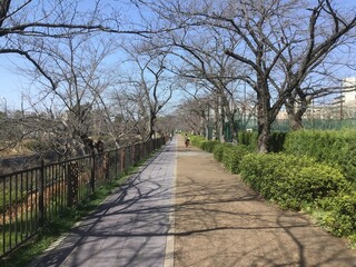 Fototapeta na wymiar Green and beautiful Yamazaki River Four Seasons Road