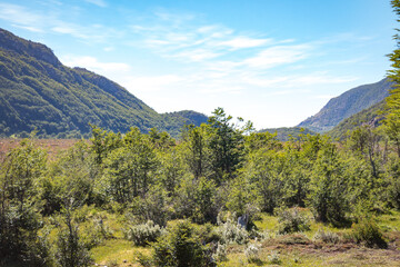 Fototapeta premium tierra del fuego national park, ushuaia, patagonia, argentina, south america