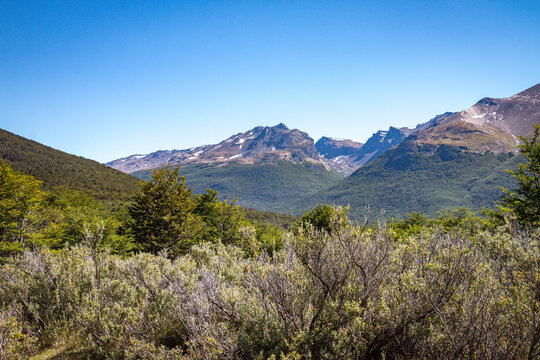 tierra del fuego national park, ushuaia, patagonia, argentina, south america