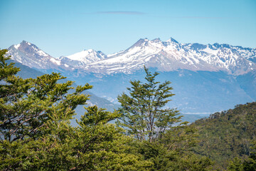 Fototapeta premium tierra del fuego national park, ushuaia, patagonia, argentina, south america