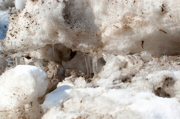A large lump of snow with icicles. Old snow, the arrival of spring.