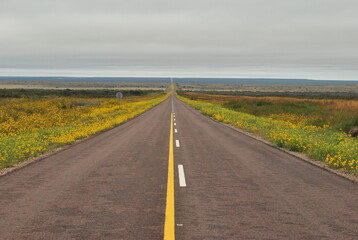 Ruta