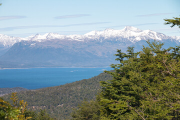 tierra del fuego national park, ushuaia, patagonia, argentina, south america