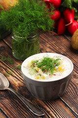 Russian traditional cold soup okroshka