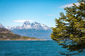 tierra del fuego national park, ushuaia, patagonia, argentina, south america