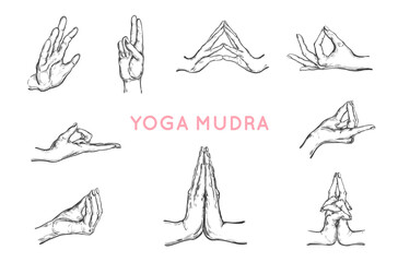 Vector hand drawn set of hands in mudras. Yoga. Spirituality set