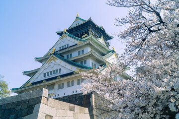 Fototapeta premium japanese castle