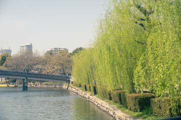 bridge over the river thames