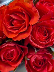 Bouquet rose flower, close up. Roses for sale at Flower Market. Red flowers for background.