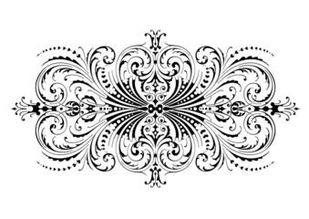 Black pattern on white background classic ornament carpet panel baroque rococo