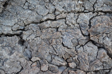 rock surface