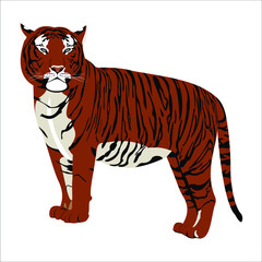 tiger vector illustration symbol of the year 2022 in the Chinese calendar wildlife animals of our planet
