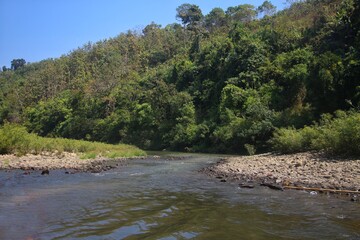 river in the woods