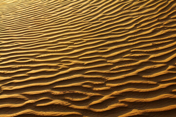 sand dunes in the desert