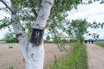 Riet Vell Ecological Rice Farming, The Ebre Delta, The Ebre Delta Natural Park, Terres de l'Ebre, Tarragona, Catalonia, Spain
