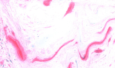 Abstract art background red liquid paint streaming over  white surface watercolor technique illustration