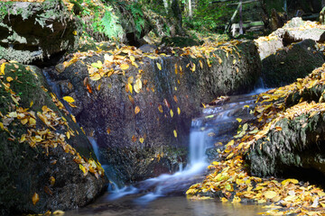 Tretstein Wasserfall im Herbst mit Laub Langzeitbelichtung