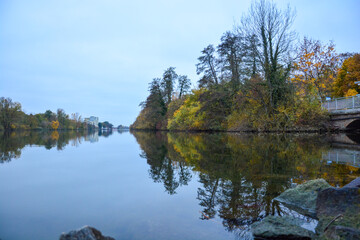 Fototapeta na wymiar Herbstliche Bäume mit Wasserspiegelung am Main bei Schweinfurt im Herbst, Franken, Bayern, Deutschland