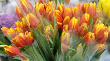 bouquets of red bright tulips packed in transparent cellophane in the flower section of the supermarket close-up, sale of flowers for the holiday, spring flowers are sold on the market