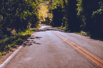 A estrada no Outono