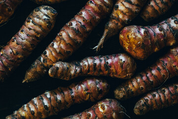 close up of jerusalem artichoke