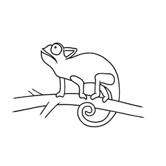 Cartoon chameleon Icon. camouflage forest animal vector