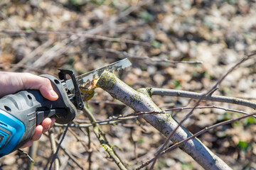 pruning trees with an electric saw. Selective focus