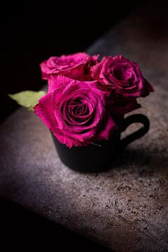 Dark Pink Roses 